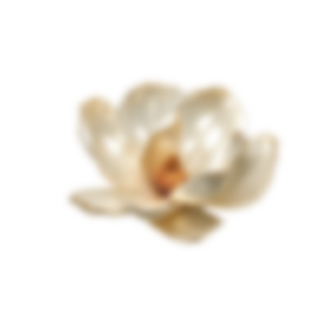 img MAGNOLIA2